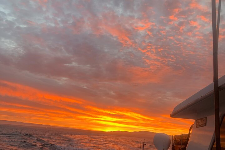 Sunset Whale Watch Tour in Monterey - Photo 1 of 6